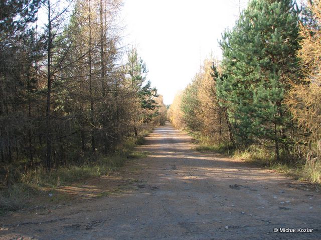 Pozostao po asfaltowych drogach w 20. dt OPK m. Olkusz-Hutki.